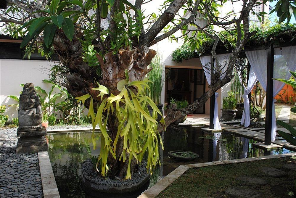 Suarti Resort, Villas & Gallery 케트웰 외부 사진